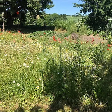 Gamle Skole * Millinge